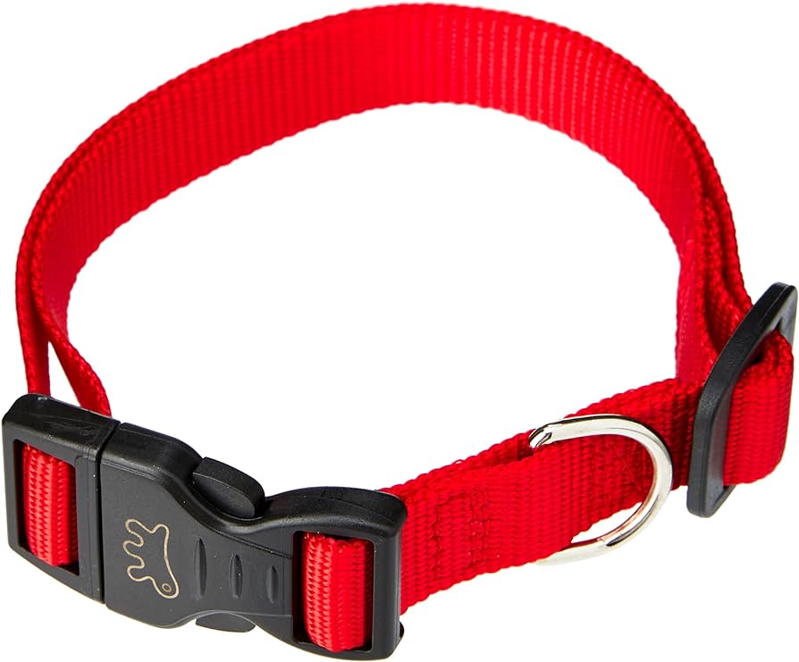 COLLIER POUR CHIENS 'CLUB C' mm 20 x cm 36÷56 - Couleur Rouge