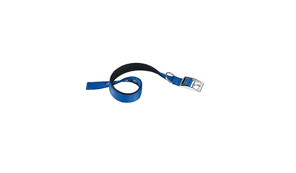 COLLARE PER CANI 'DAYTONA C' mm 20xcm 35÷43 - Colore Blu