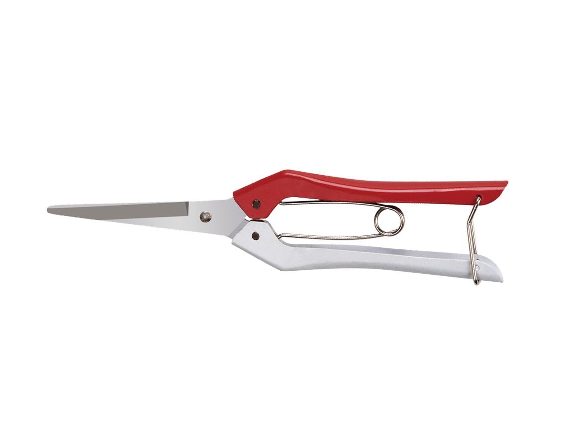 FORBICI COGLIFRUTTA CARDINALE 20 cm
