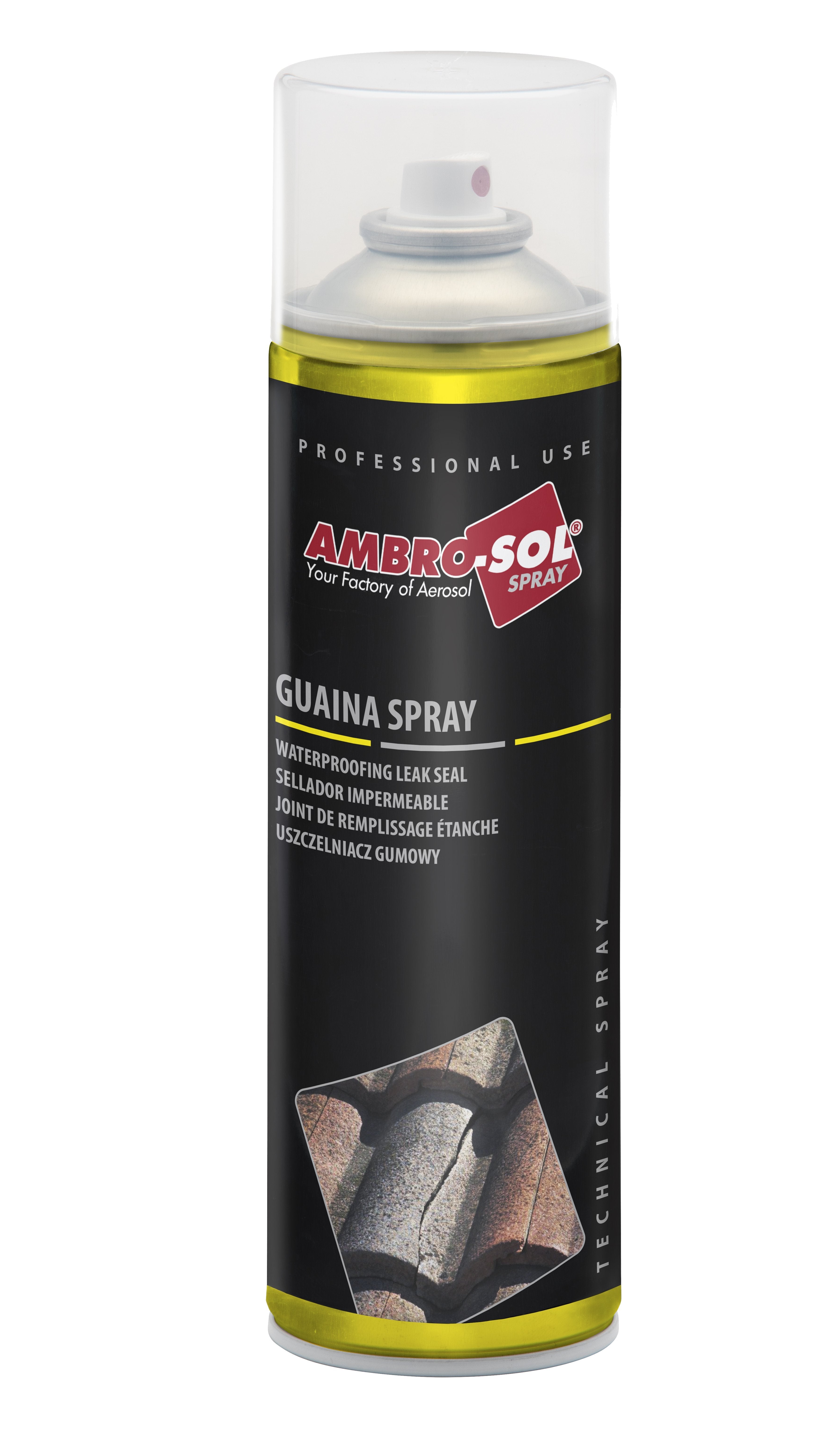 GAINE IMPERMÉABLE EN SPRAY AMBROSOL 500 ml - Noir