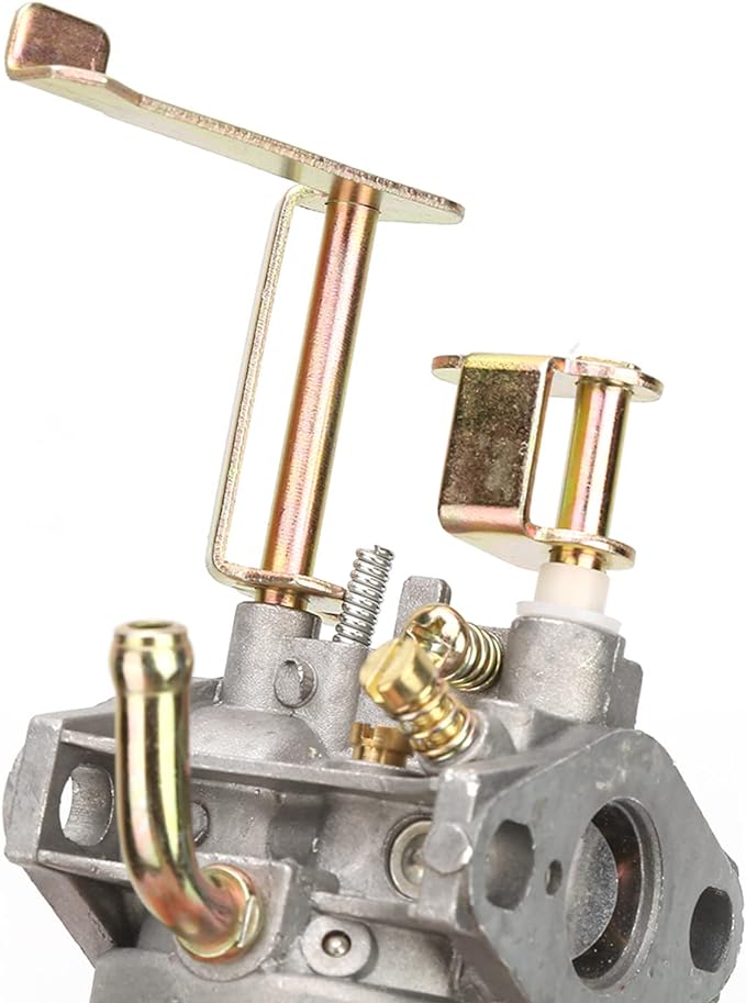 CARBURATEUR POUR GÉNÉRATEUR 'LT1900' CARDINALE Pour code 0088002