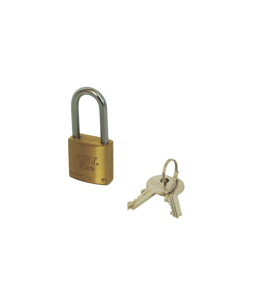 CADENAS À ANSE LONGUE « ADITUS » ISEO 40x47 mm
