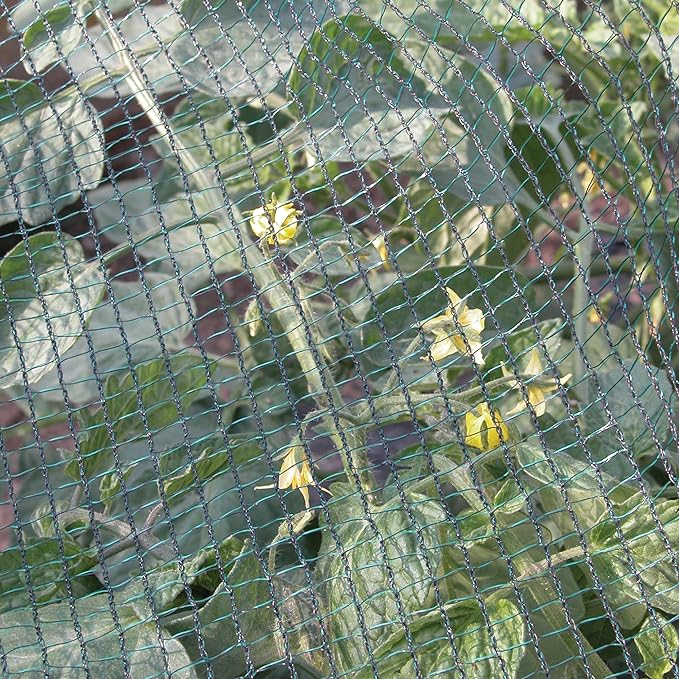 RETE ANTIGRANDINE CARDINALE rotolo 3x100 mt (piegato 1,5 mt) - colore verde