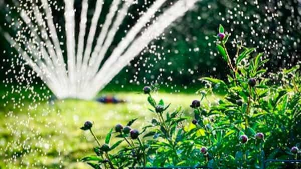 IRRIGATORE SU BASE A FARFALLA CARDINALE