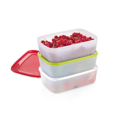 CONTENITORI IGIENICI PER FREEZER 'PURITY' 0,5 lt - 3 pezzi