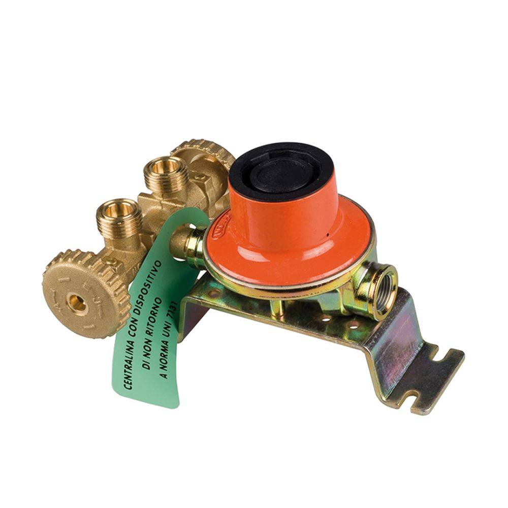 MINI-CENTRALE DEUX RACCORDS AVEC RÉGULATEUR 4 kg/h - Avec régulateur 'BP1803'