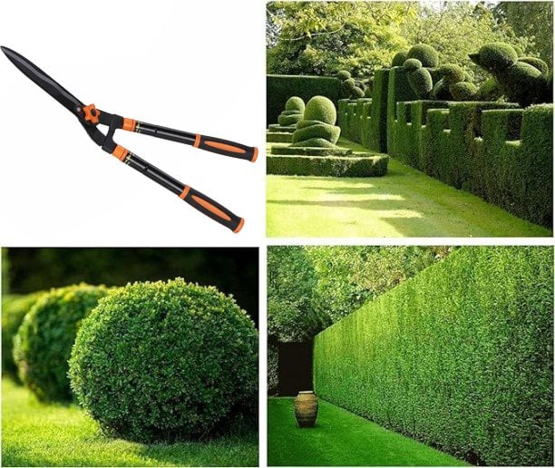 TAILLE-HAIE TÉLESCOPIQUE EN ACIER CARDINALE 30 cm