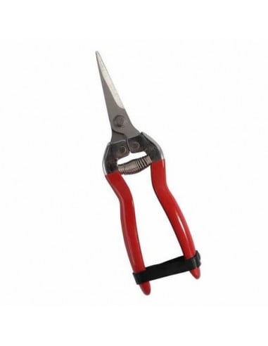 SCHERE COGLIUVA 16 SÄGE 16 cm