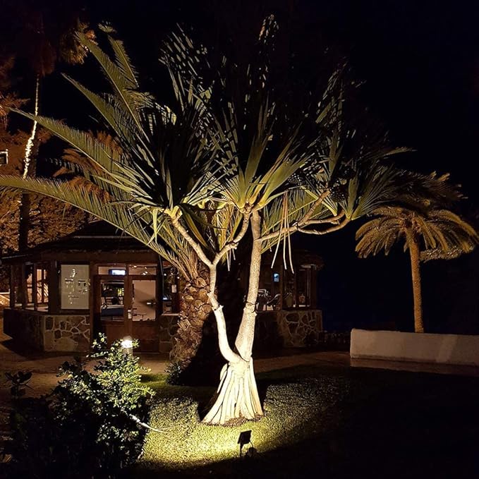 PROIETTORE A LED 100W - 8000Lm - 6000K