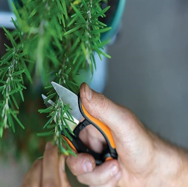 CISAILLES À HERBES AROMATIQUES « SOLID SP220 » FISKARS 13 cm
