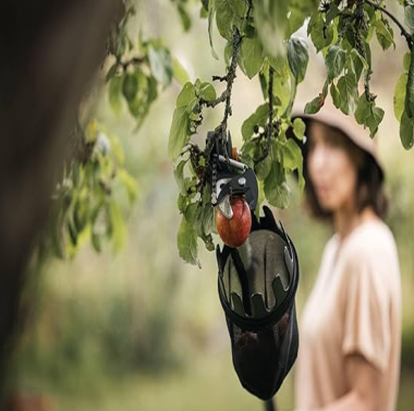 CUEILLE-FRUITS FISKARS "QUIKFIT"