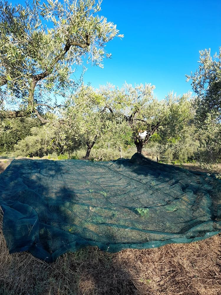 RETE PER RACCOLTA OLIVE 'ANTISPINE' CARDINALE Rotolo h. 4 (Piegato 1 mt) x 100 mt