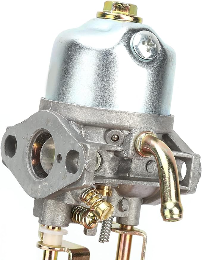 CARBURATEUR POUR GÉNÉRATEUR 'LT1900' CARDINALE Pour code 0088002