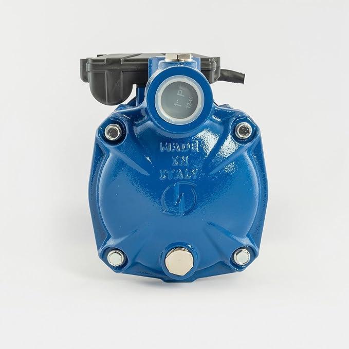 ELETTROPOMPA CENTRIFUGA HP 1,5 - 900 Watt