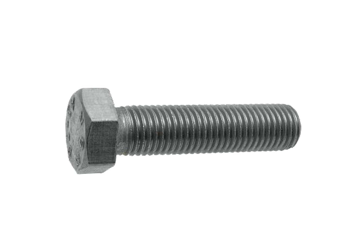 BULLONE T.E. INOX 5x16