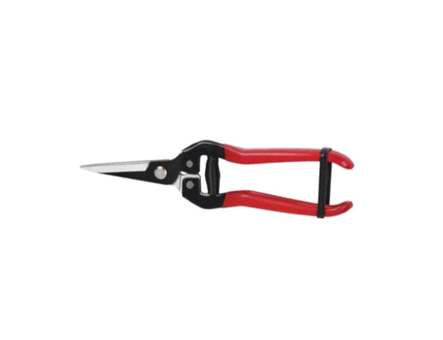 FORBICI COGLIFRUTTA E ORTAGGI CARDINALE 19 cm