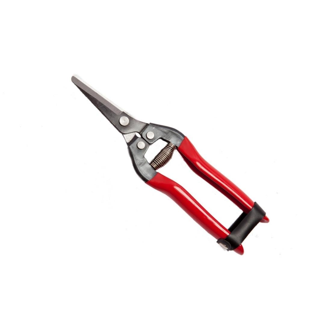 Rebschere COGLIUVA 19 cm