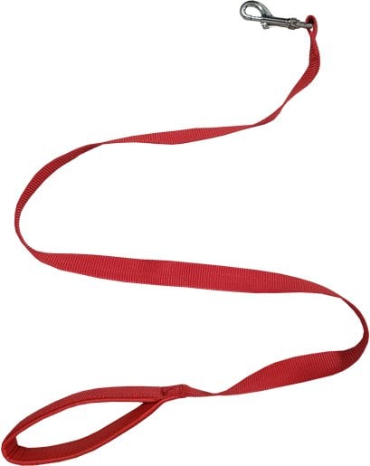 GUINZAGLIO PER CANI IN NYLON CON MANICO IMBOTTITO CARDINALE 20 mm x 120 cm