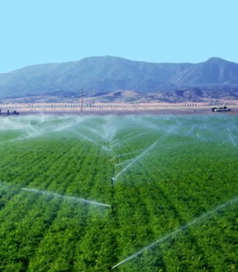 IRRIGATORE A SETTORE 'RAIN' CARDINALE 1" F