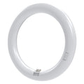 Leuchtstofflampe T9 ringförmig 24 W - Ø 373 mm - 2400 lm