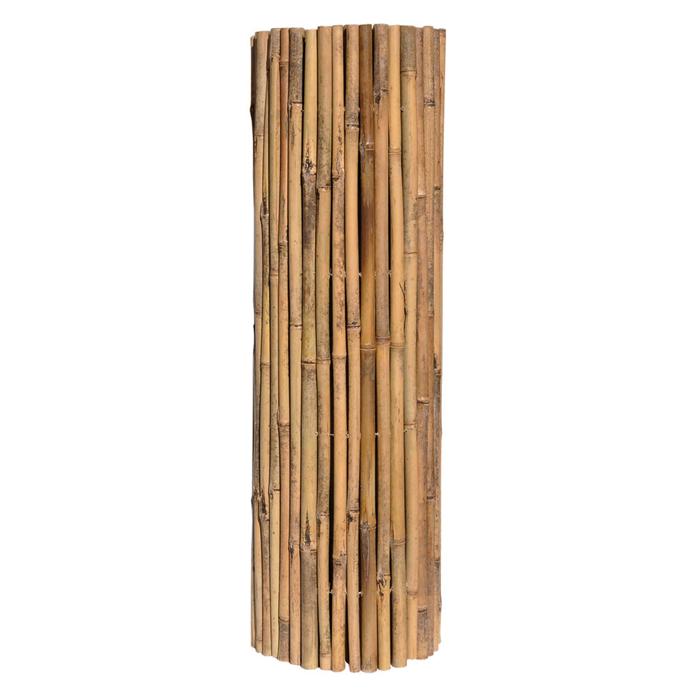 ARELLA CANNA PASSANTE 'MASTER' cm 150 x 300