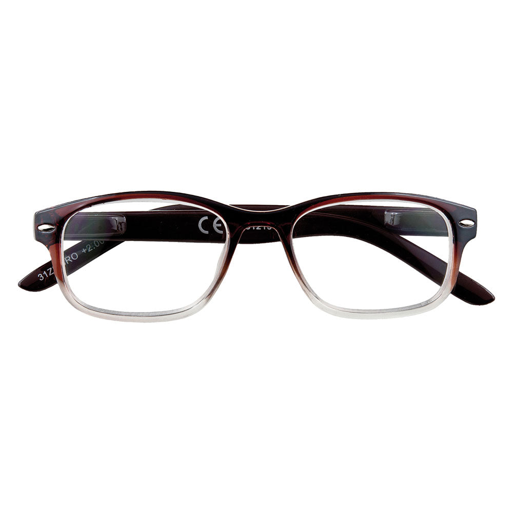 LUNETTES DE LECTURE "B1-BRO" + 3,50