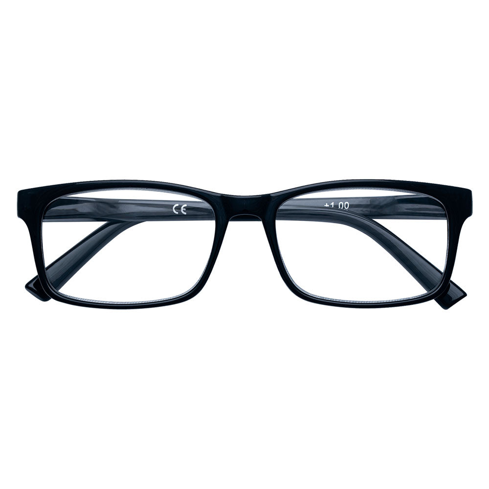 LUNETTES DE LECTURE "B20-BDE" + 2,00
