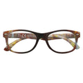 LUNETTES DE LECTURE « PR102 » + 2,50