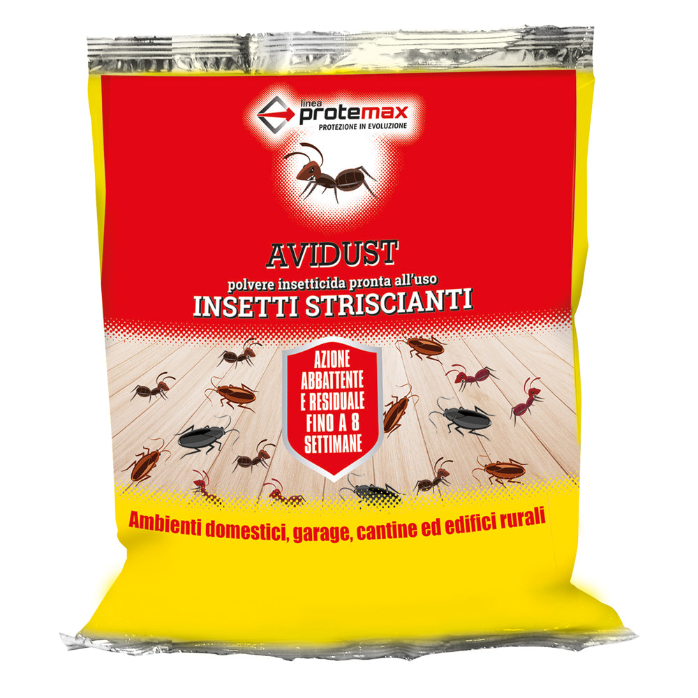 INSETTICIDA IN POLVERE kg 1 - busta
